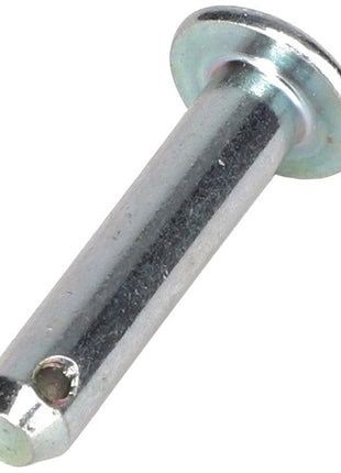 A close-up image of the AGCO Clevis Pin | Acw0214710, featuring a metal cylindrical body, a flat round head on one end, and a hole near the pointed end. No current product description information is available.