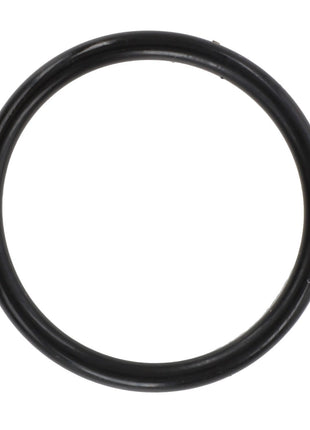 AGCO | O Ring - Acw2078000, a black rubber O-ring with a circular shape, on a white background.