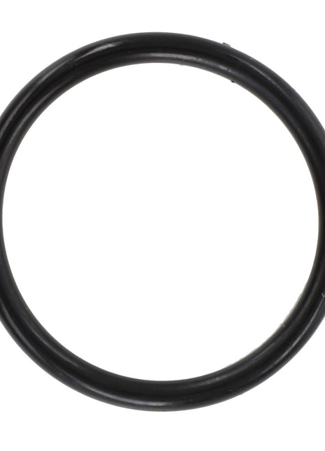 AGCO | O Ring - Acw2078000, a black rubber O-ring with a circular shape, on a white background.