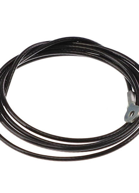 A coiled black AGCO lanyard (AG330850) with an exposed metal end is shown against a white background, though no current information available seems to explain its purpose.