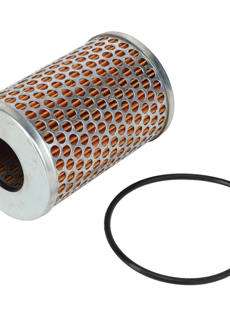 The AGCO Hydraulic Oil Filter Cartridge (Acp0250270) is a cylindrical mesh air filter with hexagonal openings and an adjacent black rubber O-ring—no current product description available.