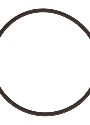 A straightforward AGCO | O-RING - AG714991 with a slim, dark circular design is displayed against a white background. Unfortunately, detailed product description information is not currently available.