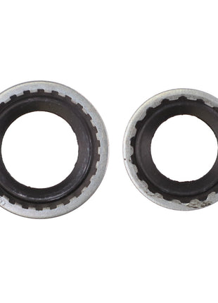 Two AGCO | Seal - 111681W91 metallic circular gear components with black interiors, placed side by side against a white background, lack any additional product description at this time.