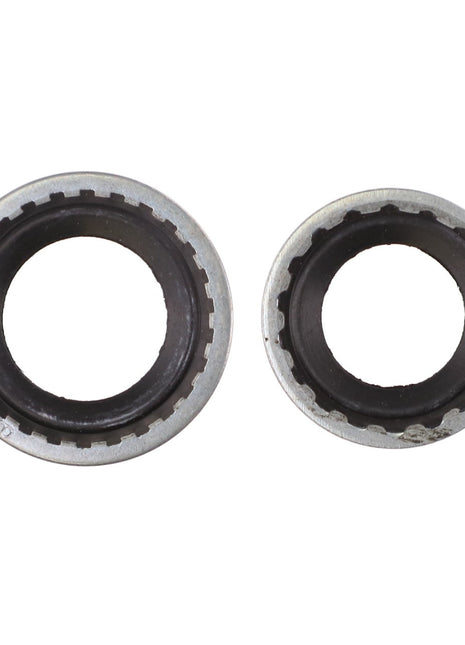 Two AGCO | Seal - 111681W91 metallic circular gear components with black interiors, placed side by side against a white background, lack any additional product description at this time.