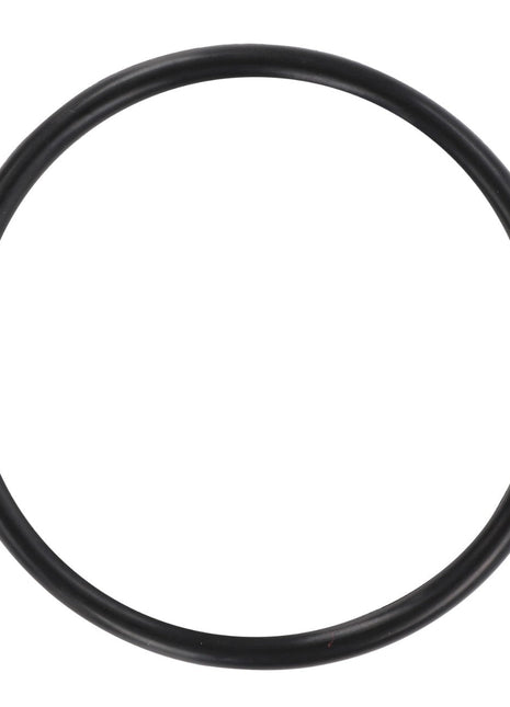 AGCO | O RING - D45465600