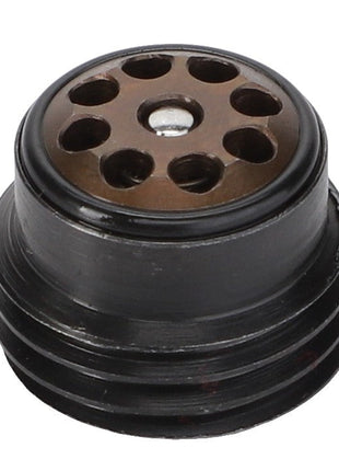AGCO | Non Return Valve - Acw4646270 - Farming Parts