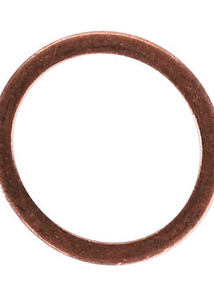 AGCO | Sealing Washer - X540003278000 - Massey Tractor Parts