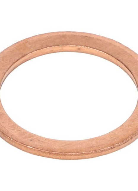 AGCO | Sealing Ring - 1118718 - Farming Parts