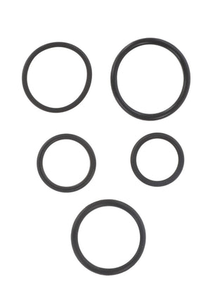 Five black rubber O-rings of different sizes, resembling genuine seals from the AGCO Seal Kit, Control Valve - F716150200090, are arranged in a simple pattern on a white background.