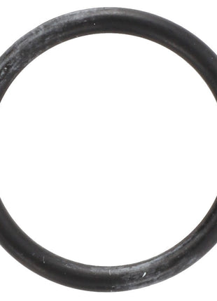 AGCO | O-RING - F916961020040