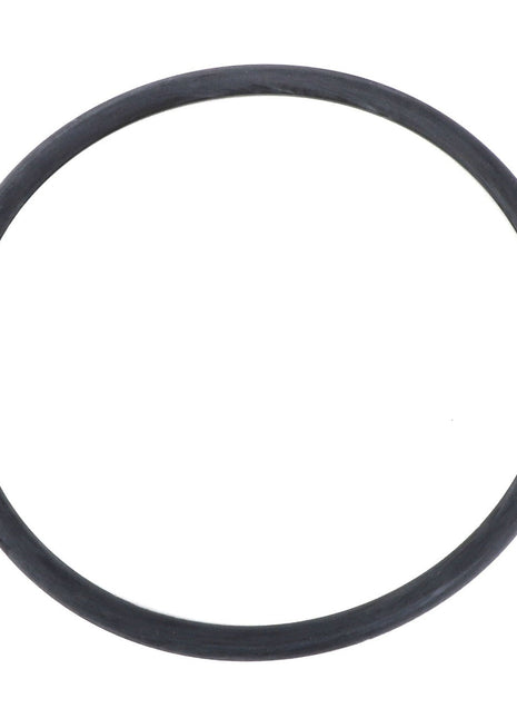 A black rubber O-ring in a circular shape, identified as the AGCO | O Ring - Acp0304580 by the brand AGCO, is shown on a plain white background. No further product description is available beyond this minimalist presentation.