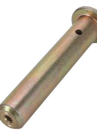 AGCO | PIN - ACY1121680