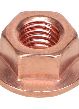 AGCO | Shoulder Hex Nut - F530200090110 - Farming Parts