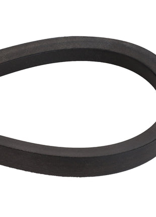 Close-up view of an AGCO BELT - D41982600, featuring its smooth, continuous loop shape in black rubber against a white background.