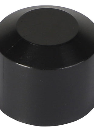 The AGCO Roller - Acp0379070 is a sleek, black cylindrical magnet featuring a flat top and circular base. Further product details are currently unavailable.