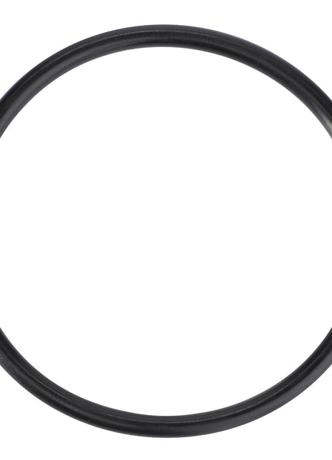 AGCO | O-Ring, Final Drive - 3009744X1 - Farming Parts