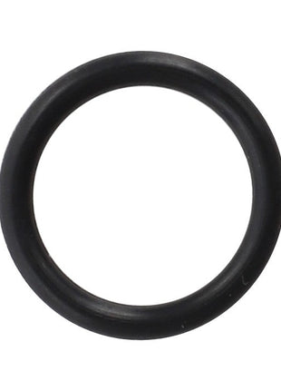 A black rubber O-ring from the AGCO SEALS KIT - AL4500384, displayed on a white background. No current product description information is available.
