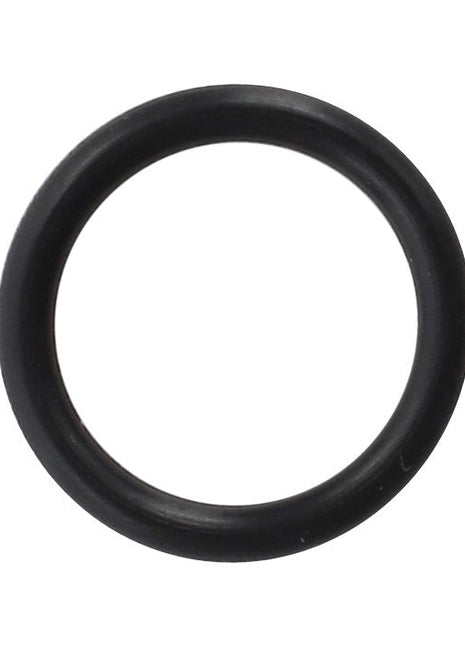 A black rubber O-ring from the AGCO SEALS KIT - AL4500384, displayed on a white background. No current product description information is available.