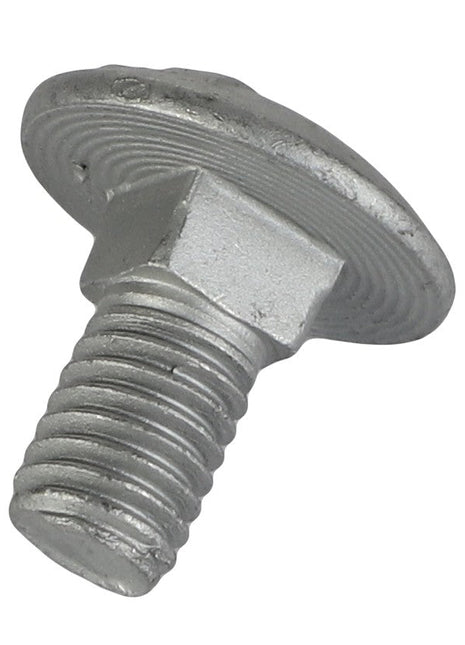 Currently, there is no detailed product description available. However, here is a brief overview of the AGCO Round Head Square Neck Carriage Bolt - Acw1059420: it is a silver-colored bolt featuring a round, flat head and a threaded shaft.
