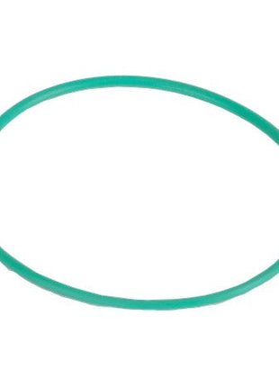 AGCO's O Ring - Ag007471, a green rubber loop, isolated on a white background.