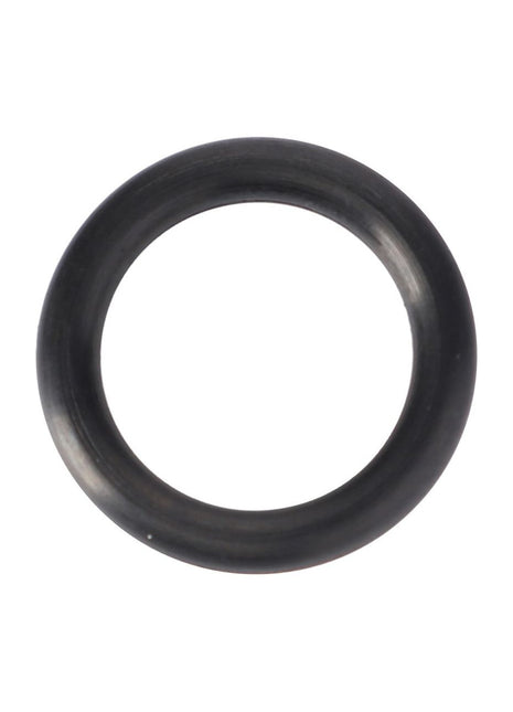 AGCO | O-Ring, 0,487"Id - 70924937 - Massey Tractor Parts