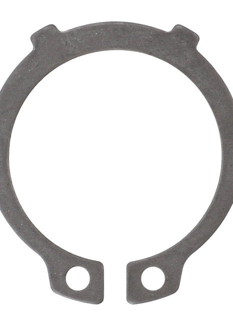 AGCO | Ring, Stabiliser Plate - Acp0373810 - Farming Parts