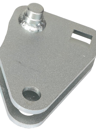 AGCO | Tensioner - Acw0615170 by AGCO is a metal hinge bracket with a refined triangular shape, featuring a cylindrical post at one corner and two strategically placed holes on each plate—one circular and one rectangular cut-out.