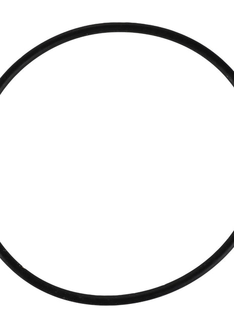 AGCO | O-RING - F931941102020