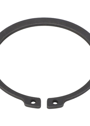 AGCO | RING - AL5016619