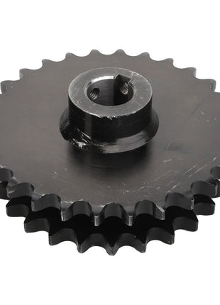 AGCO | Chain Sprocket - D28580321 - Massey Tractor Parts