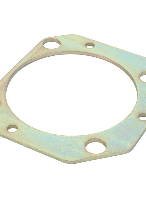 The AGCO | Adapter - Acw1713350 by AGCO is a metallic, hexagonal gasket with a large central opening and multiple smaller circular holes around its perimeter. Detailed product description information is currently unavailable.