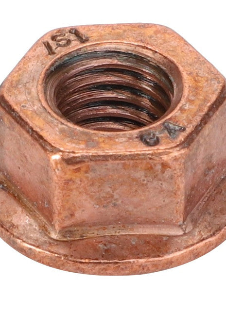 A close-up view of the AGCO Shoulder Hex Nut - F530200090740 in a copper hue, highlighting its hexagonal shape, visible internal threading, and stamped markings, presenting its meticulous craftsmanship.