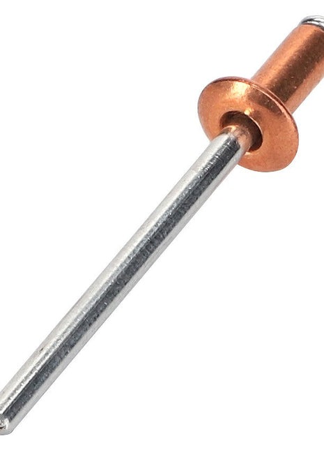 A close-up of the AGCO Rivet - La14643292 featuring a copper-colored head and metal shaft, isolated on a white background.
