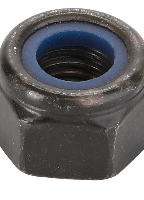A close-up image of the AGCO LOCKNUT - D41017500, a black hexagonal locknut featuring a blue nylon insert, illustrating a product for which no current description information is available.
