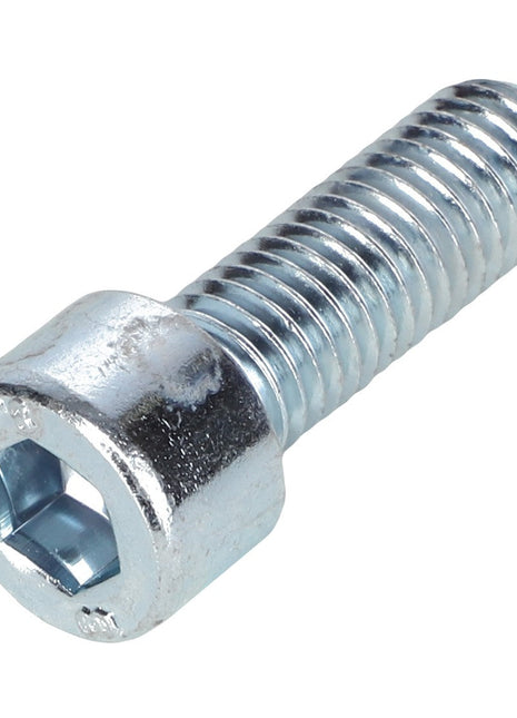 AGCO | SCREW - AL5004085