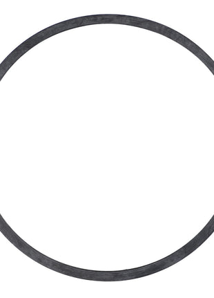 AGCO | Seal Washer, Prefilter, Fuel Filter - V243620