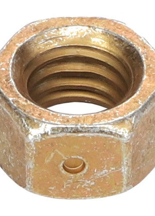 AGCO | HEX NUT - AG557676