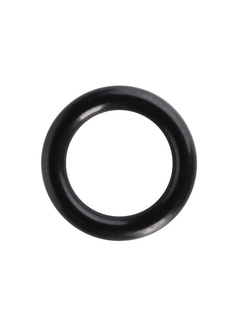 A black AGCO rubber O-ring (F514940010060) against a white background. Product description not available.