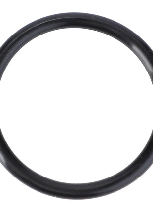 AGCO | O-Ring - Vkh4131 - Massey Tractor Parts