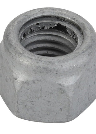 Close-up of the AGCO Hex Top Lock Nut (Acx2967660) with a threaded interior. The surface has a slightly rough texture and shows minor wear. No current product description information is available.