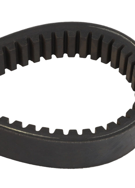 Close-up image of the AGCO | BELT - D41980100, a black, rubber, toothed drive belt with a teardrop-shaped loop. No current product description information available.