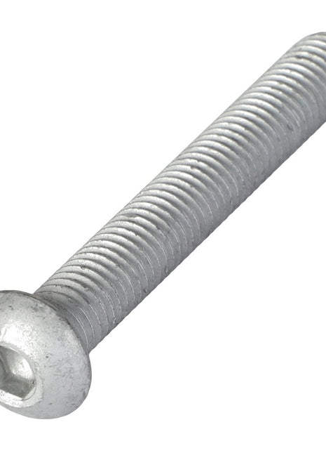 Close-up of an AGCO Hex Socket Screw (Acw5118190), highlighting its precise threads along its length and smoothly rounded stainless steel cap.