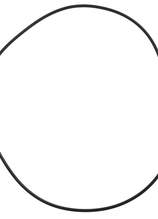 A single black rubber O-ring, identified as AGCO | O-RING - AG057955 by the brand AGCO, with a slightly irregular circular shape against a white background. No current product description is available.