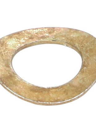 Introducing the AGCO | SPRING WASHER - 1107283, a durable, oval-shaped metal washer with a central hole, ideal for multiple uses. If you require help with your order, please reach out to our Support Team.