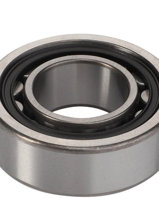 AGCO | Cylindrical Roller Bearing - 3000444X1 - Farming Parts