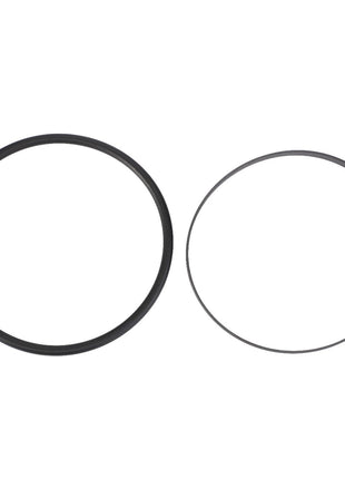 The AGCO O-Ring - F718301020210 set features two circular rings on a white background, expertly crafted from high-quality materials. One ring is black and thick, while the other is thin and gray.