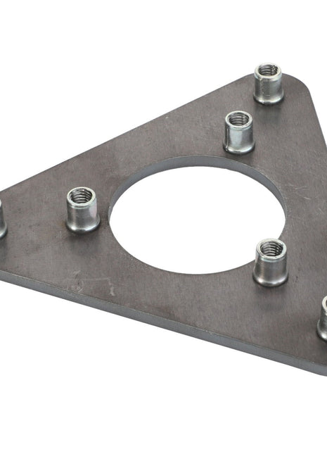 The product listed is the AGCO BEARING PLATE - D28283847, featuring a triangular metal plate with a large circular hole in the center and six threaded cylindrical protrusions around its edges; however, no detailed product description information is available.