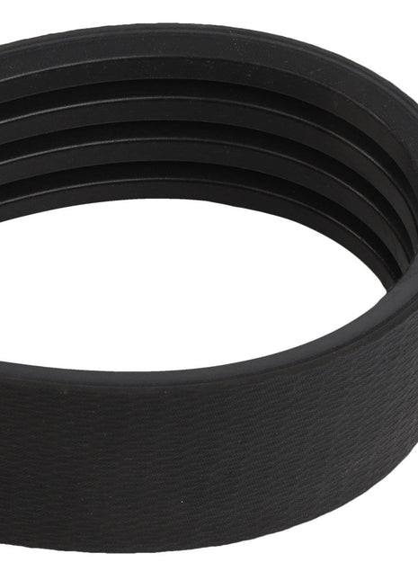 The AGCO | Belt - Acw0365950 is a durable, black, multi-ribbed V-belt featuring a robust looped structure by AGCO.