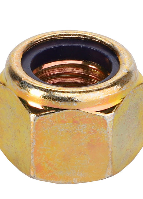 AGCO | Hex Nylon Insert Locknut - 3001189X1