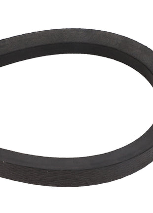 AGCO | BELT - D41988600